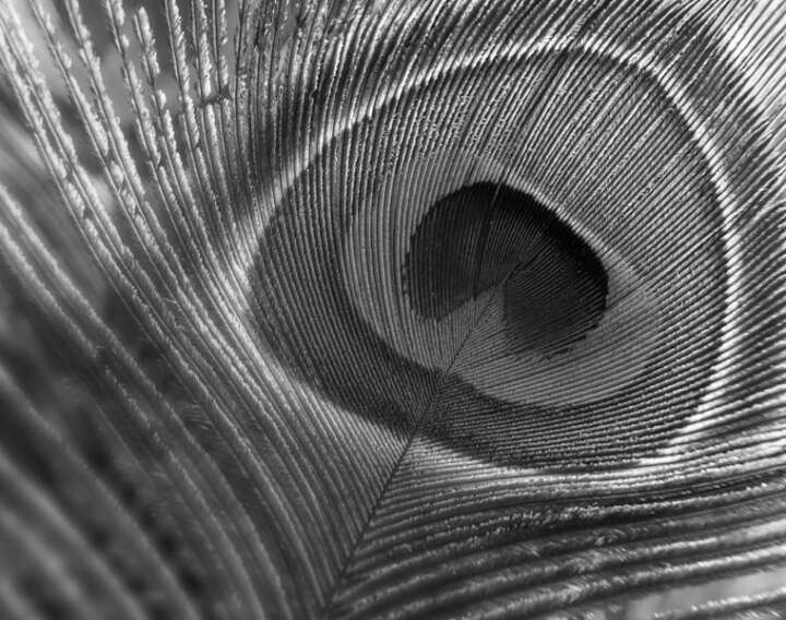 Exhibition Stand for Accelleron at the SMM Trade Show. Design and Standbuilding by Eldee Expo Experts.